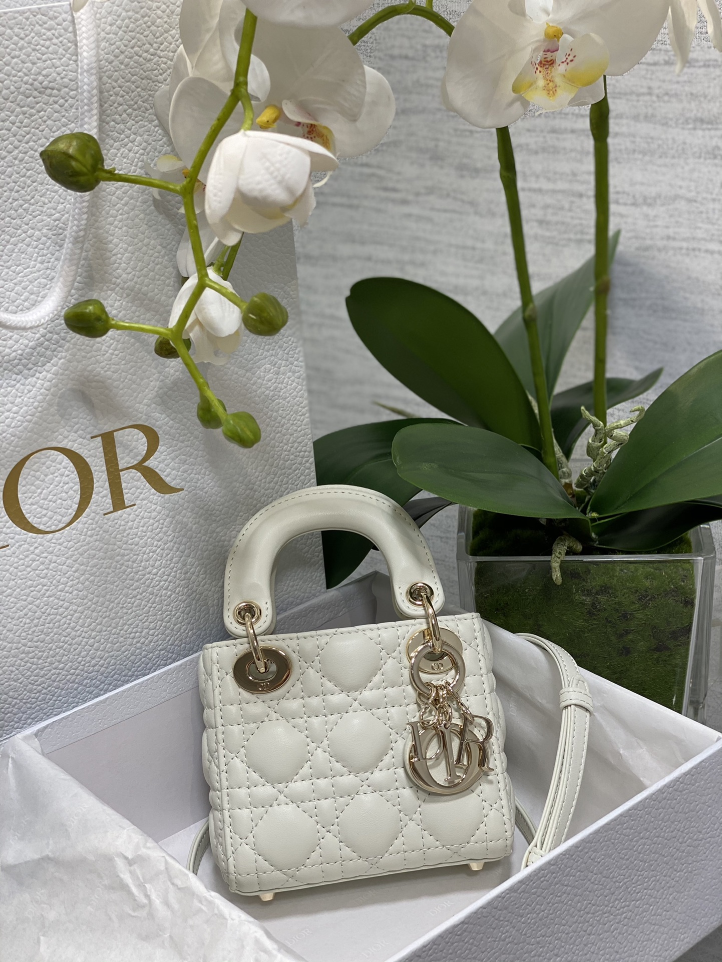 844dcdea7669bb3c350014f0a1b8dac2_1744449519_9064.jpg 844dcdea7669bb3c350014f0a1b8dac2_1744449519_9064_1744449959_1744484120.jpg