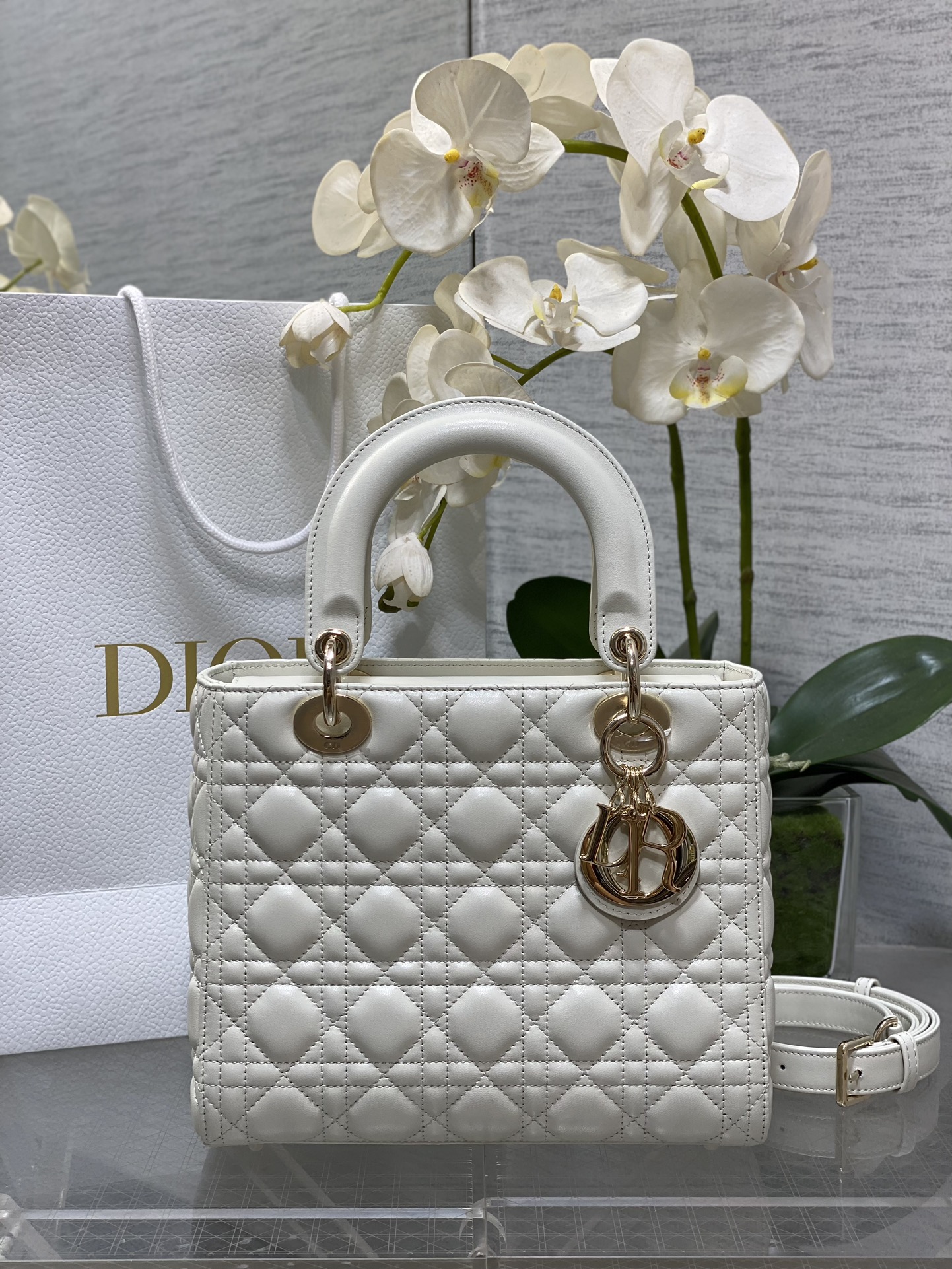 844dcdea7669bb3c350014f0a1b8dac2_1744450546_9753.jpg 844dcdea7669bb3c350014f0a1b8dac2_1744450546_9753_1744450816.jpg