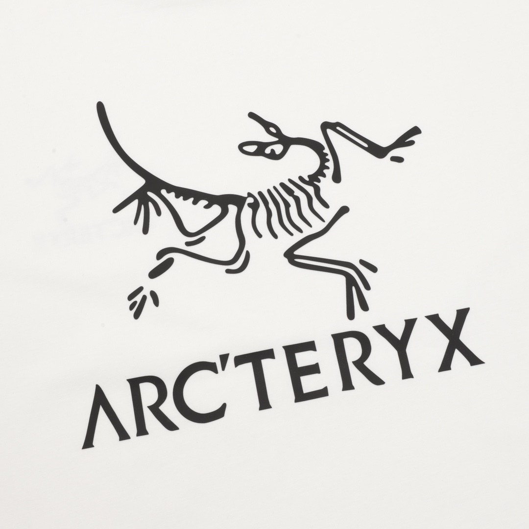 09123a46de06924497ce7e8b9cd77347_1747270313_5579.jpg 09123a46de06924497ce7e8b9cd77347_1747270313_5579.jpg