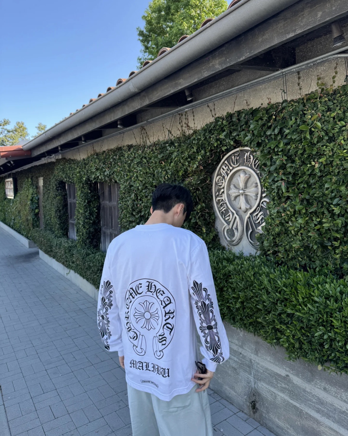 94665ed09e02e0b93a0ec3d07a6597e7_1755270477_8718.jpg 94665ed09e02e0b93a0ec3d07a6597e7_1755270477_8718_1755270509.jpg