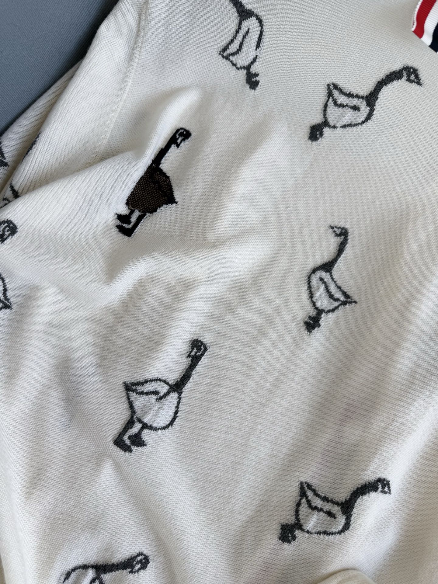 aae005b47a5870350cc50c3c12d3e0e1_1755183269_3687.jpg aae005b47a5870350cc50c3c12d3e0e1_1755183269_3687_1755186783.jpg