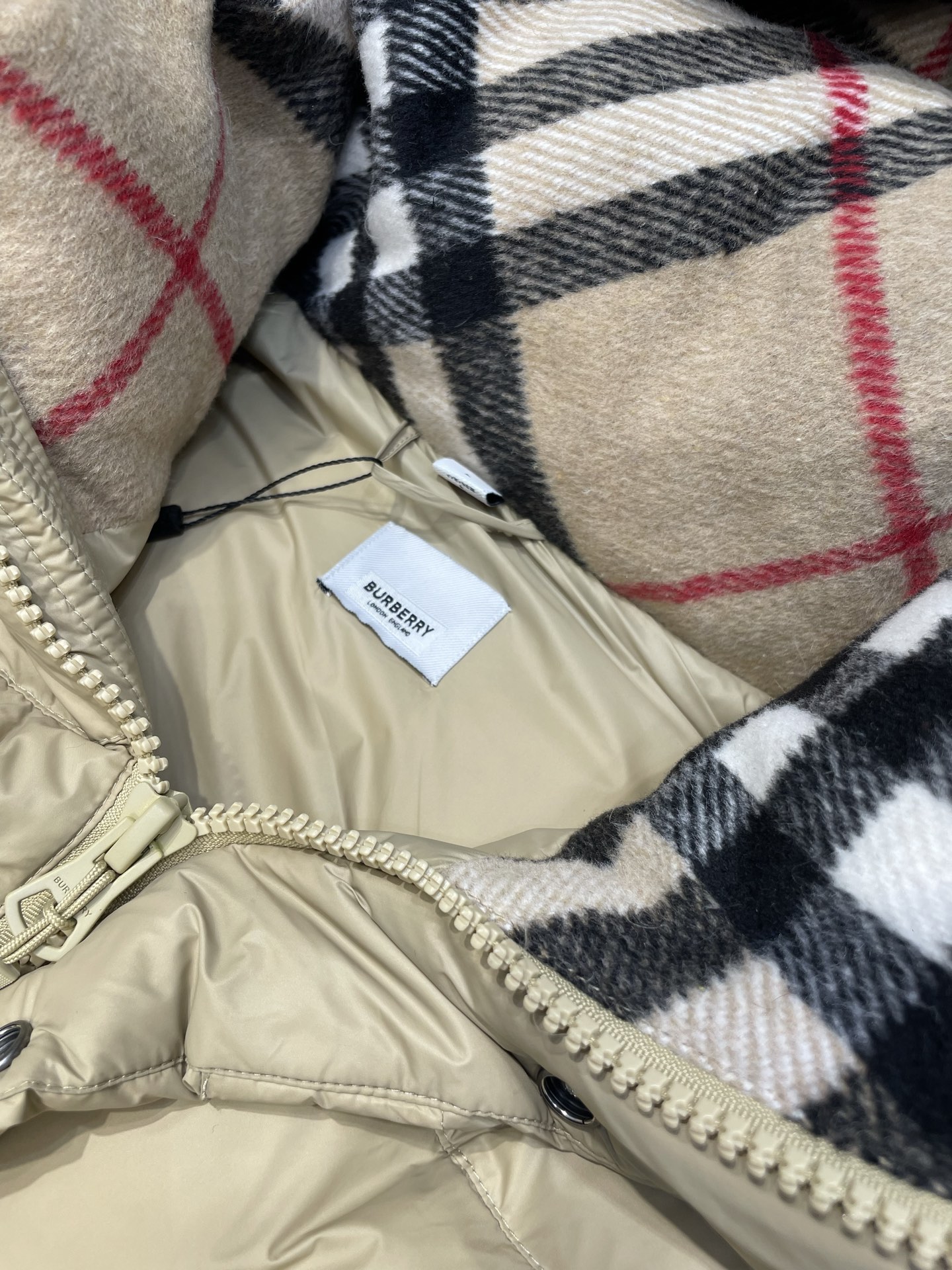 7790d03ca15744bcdda1c6dc902104c0_1759052235_9507.jpg 7790d03ca15744bcdda1c6dc902104c0_1759052235_9507_1759052290.jpg