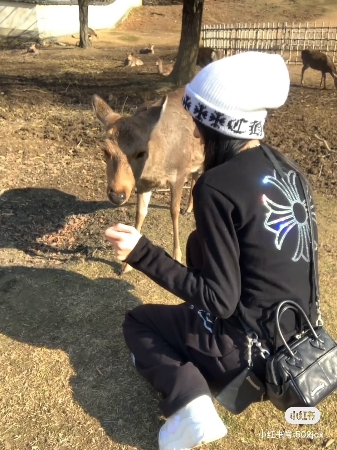 8572b1ed474f31d00747edf2b930ef42_1758518417_5755.jpg 8572b1ed474f31d00747edf2b930ef42_1758518417_5755_1758534270.jpg