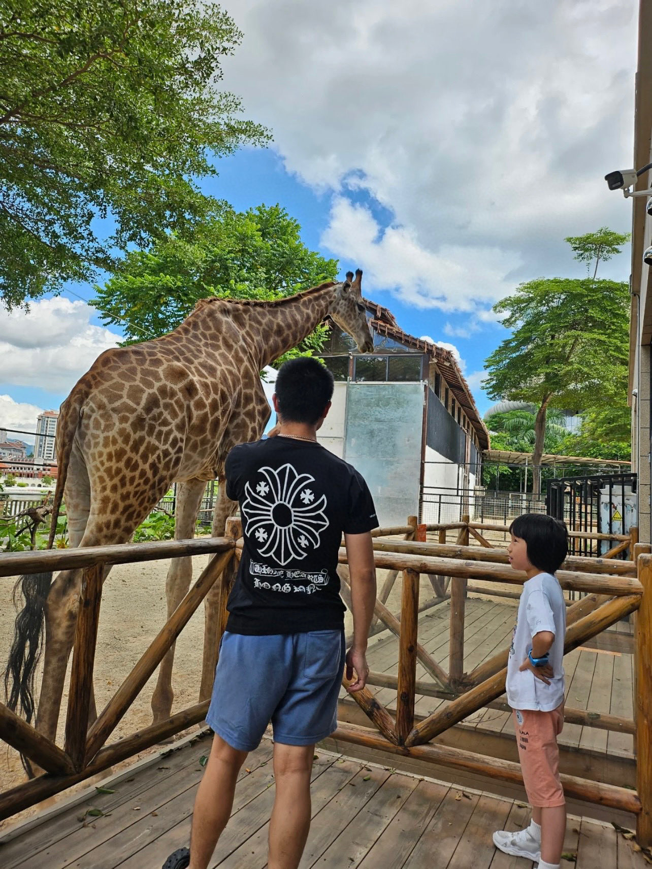 d2b9e02f9b053e6fcc9a5d74a00930a0_1756704266_942.jpg d2b9e02f9b053e6fcc9a5d74a00930a0_1756704266_942_1756704324.jpg