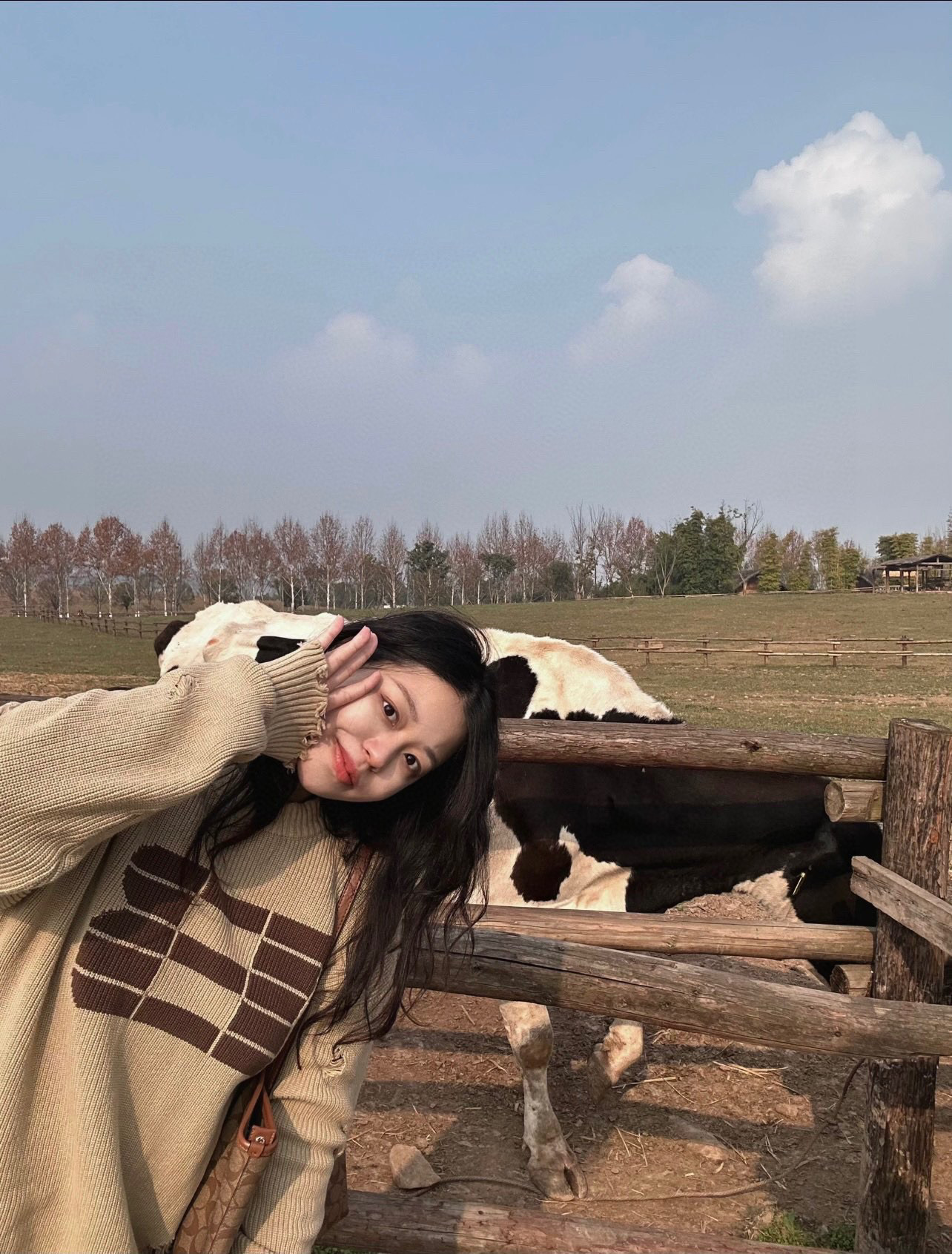 946b3f215f3c75ad471def4467c037a9_1762666033_9013.jpg 946b3f215f3c75ad471def4467c037a9_1762666033_9013_1762666553.jpg