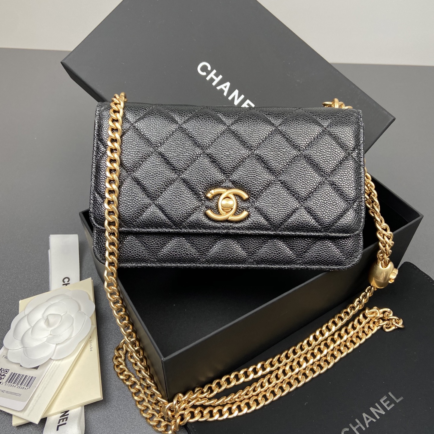 db0abd286811103cf5042a454283cc99_1762967141_7046.jpg db0abd286811103cf5042a454283cc99_1762967141_7046_1762967291.jpg