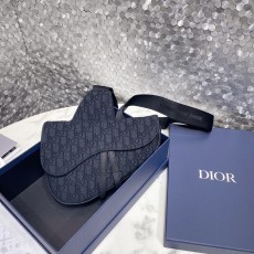 Dior CD 디올 새들백 가방