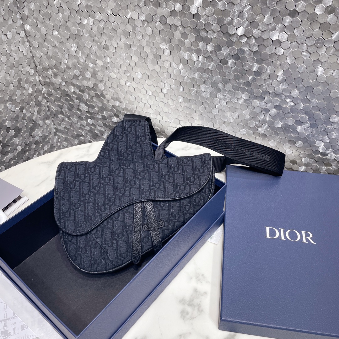 Dior CD 디올 새들백 가방