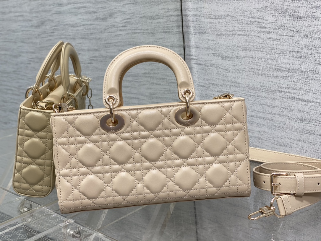 Dior CD D-joy 디올 디조이 가방