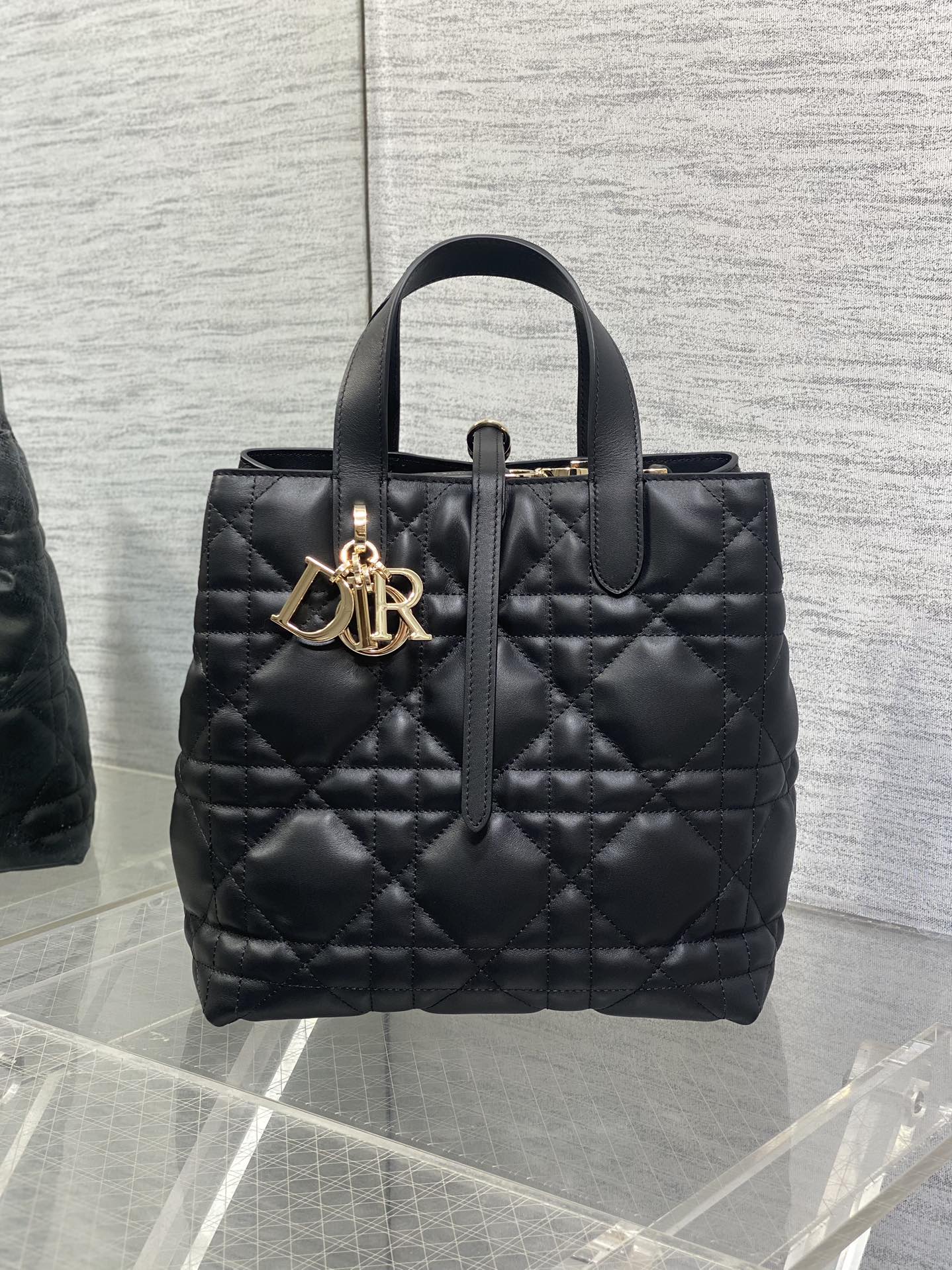 Dior CD 디올 뚜주흐백 미디엄 가방