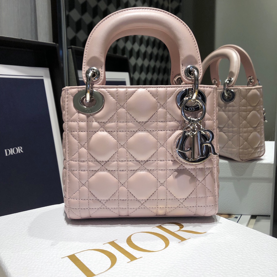Dior CD Lady 디올 레이디 토트백 가방