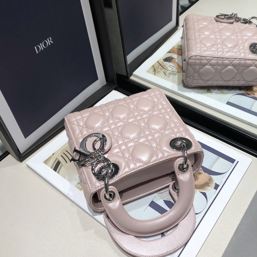 Dior CD Lady 디올 레이디 토트백 가방