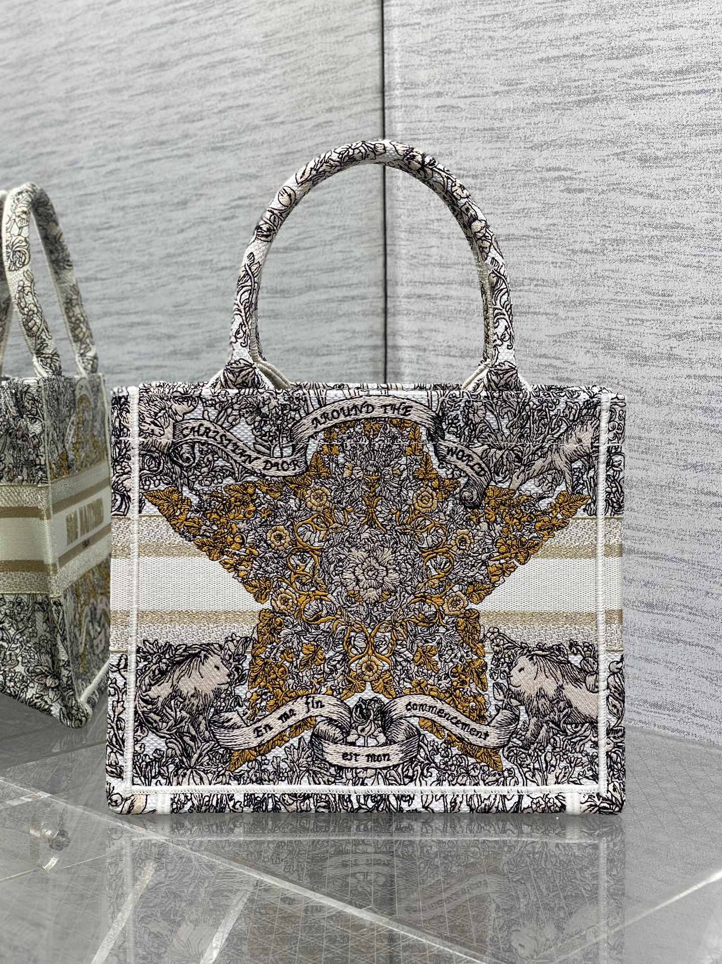 Dior CD Book Tote 디올 북토트 토트백 스몰 가방