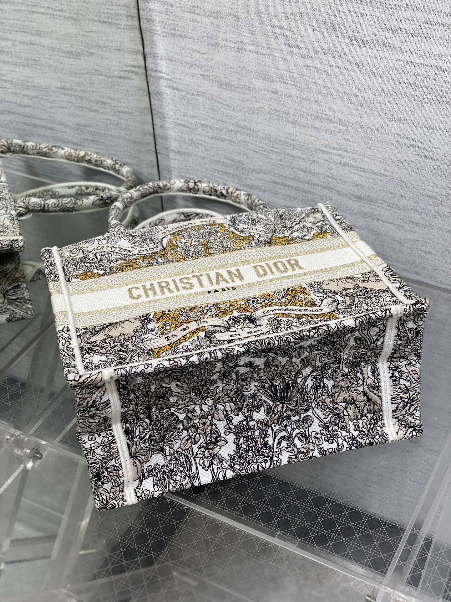 Dior CD Book Tote 디올 북토트 토트백 스몰 가방