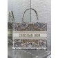 Dior CD Book Tote 디올 북토트 토트백 미디움 가방