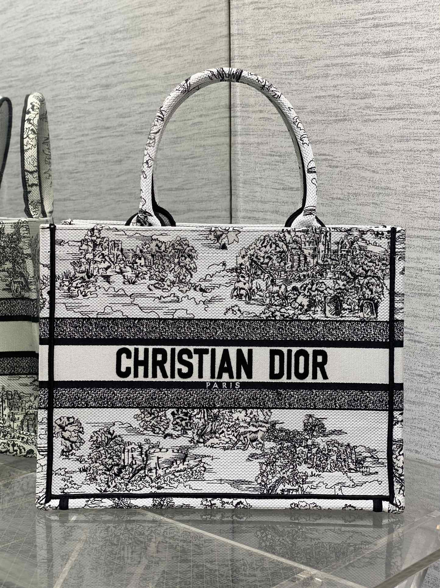 Dior CD Book Tote 디올 북토트 토트백 미디움 가방