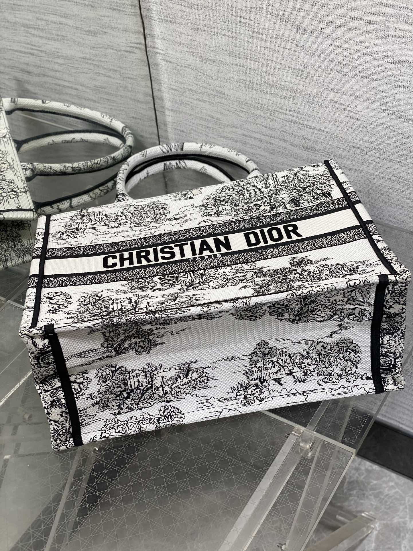 Dior CD Book Tote 디올 북토트 토트백 미디움 가방