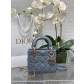 Dior CD Lady 디올 레이디백 가방