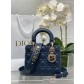 Dior CD Lady 디올 레이디백 가방