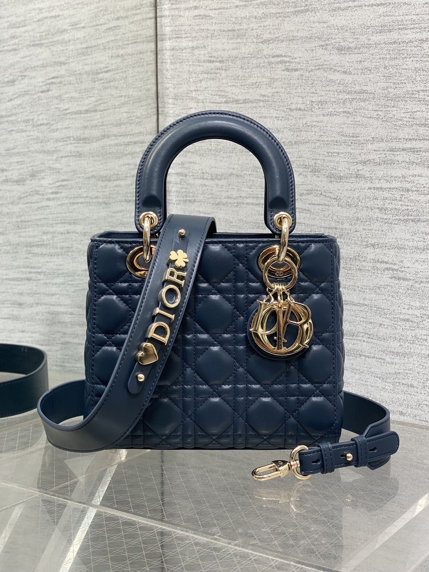 Dior CD Lady 디올 레이디백 가방