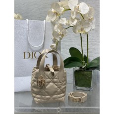 Dior CD 디올 뚜주흐백 미니 가방