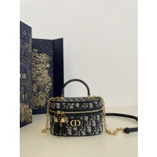 Dior CD 디올 베니티 파우치백 가방
