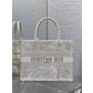 Dior CD book tote bag 디올 북토트 토트백 가방