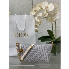 Dior CD Hobo Star 디올 숄더백 가방