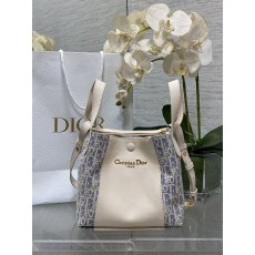 Dior CD 디올 Signature 숄더백 가방