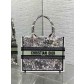 Dior CD 디올 스몰 토트백 가방