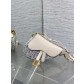 Dior CD Saddle 디올 새들백 가방