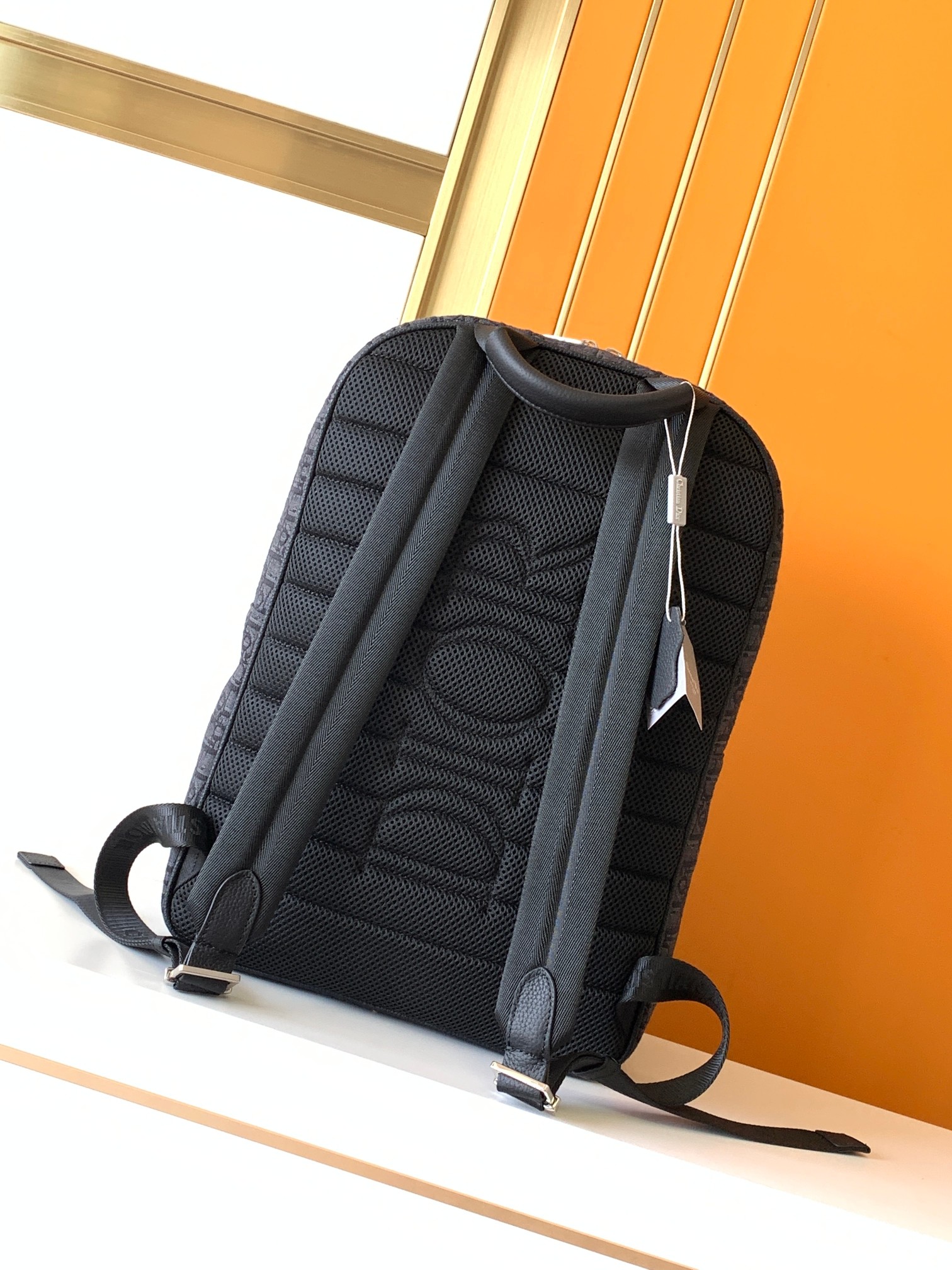 Dior CD 디올 백팩 가방 6067-1