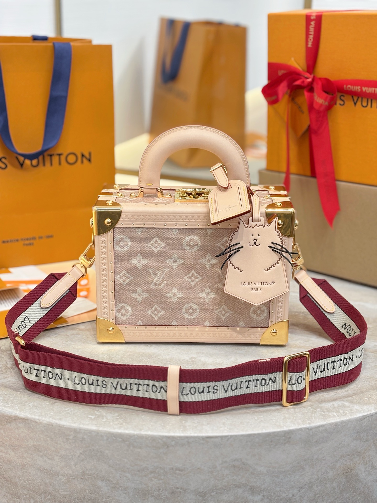 LV PETITE VALISE 루이비통 포터블 하드 케이스 숄더백 가방