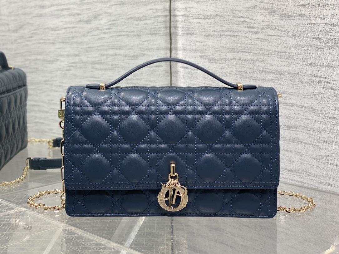 Dior CD 디올 중형 미디움 진주 체인 클러치백 가방