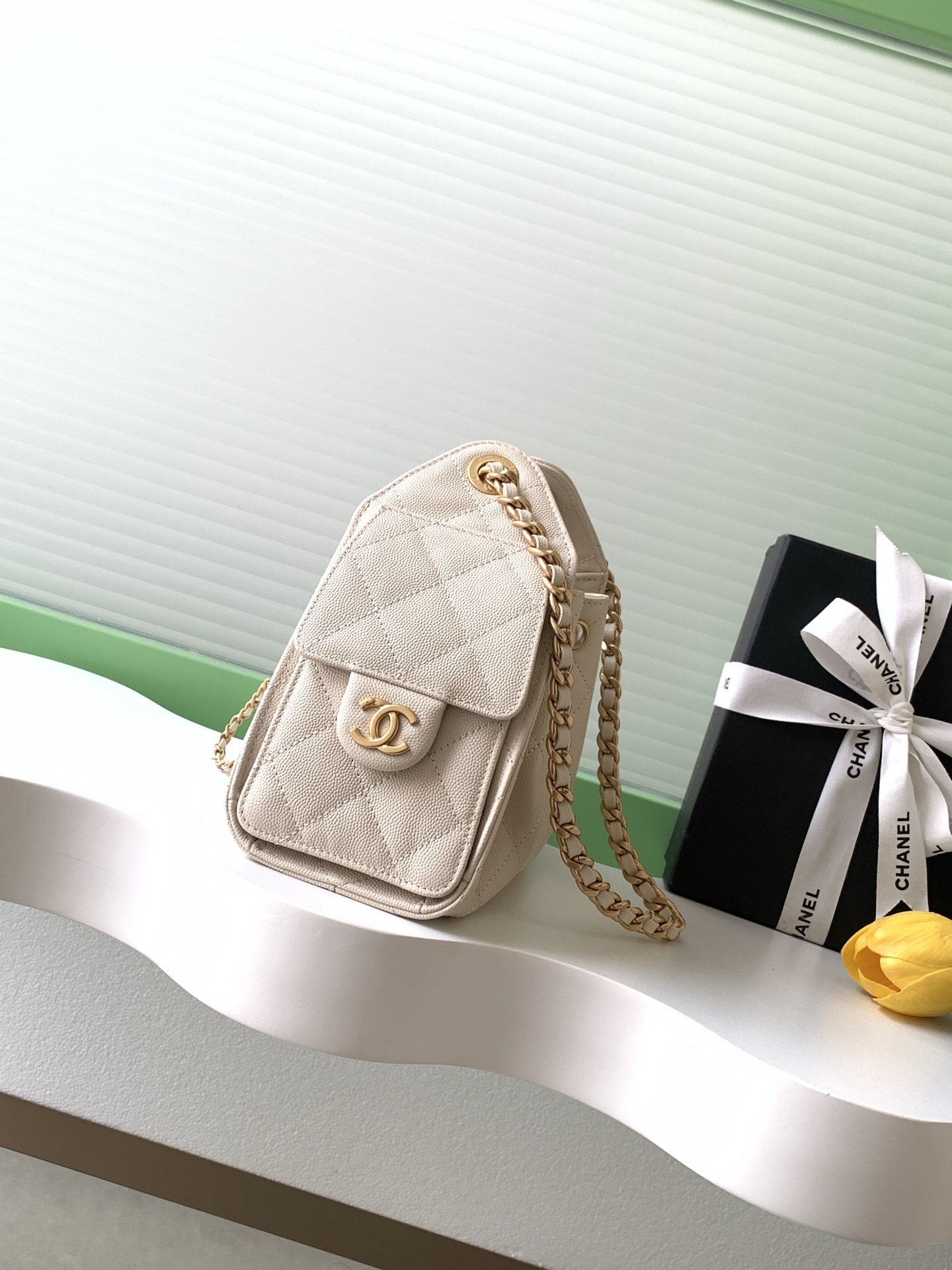 CHANEL 25P 샤넬 mini 미니 호보백 (AS5631) 가방