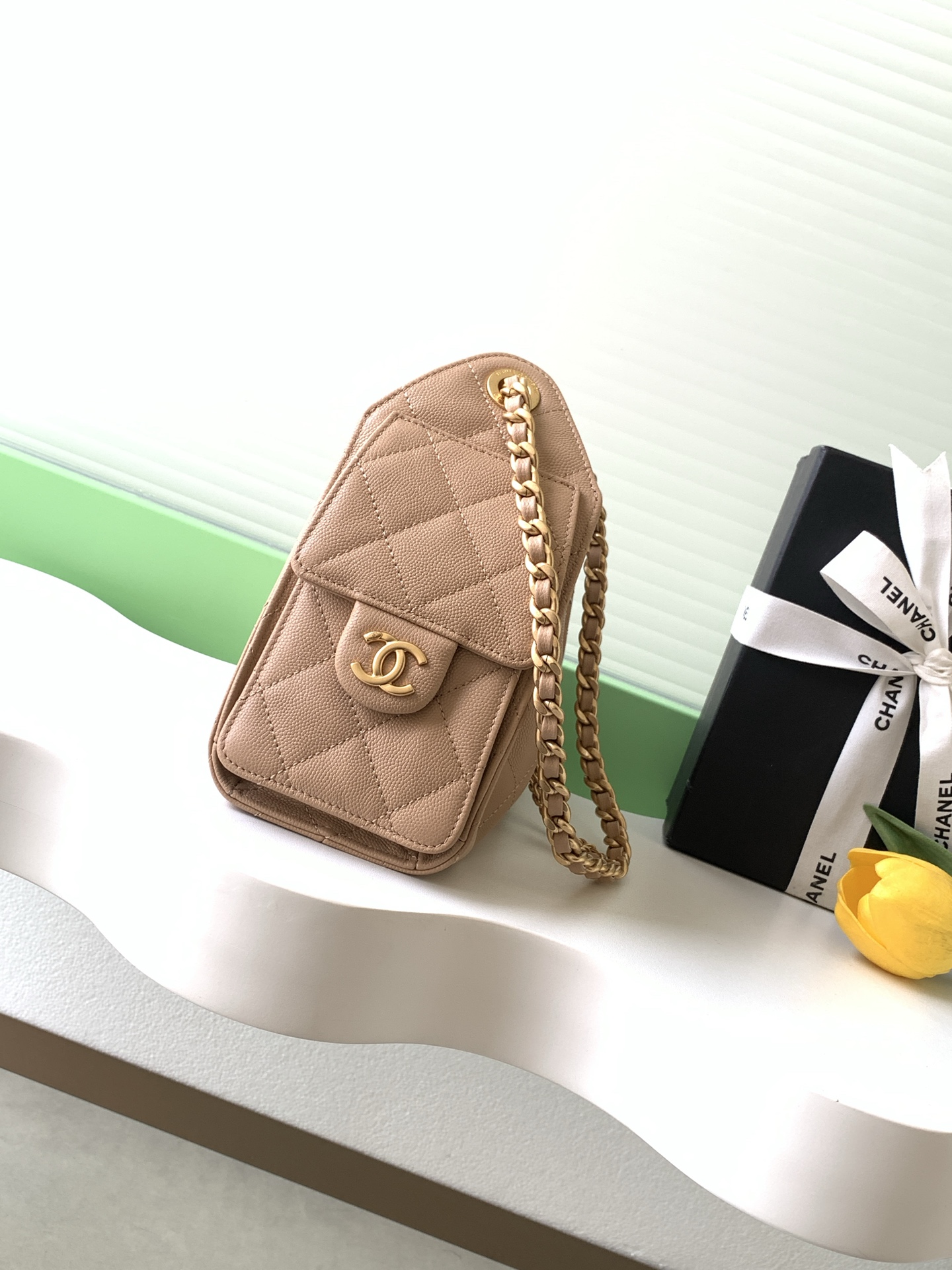 Chanel hobo 샤넬 미니 호보백 (AS5631) 가방