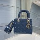 디올 Lady Bag