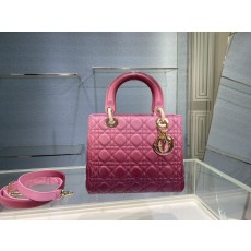 디올 Lady Bag