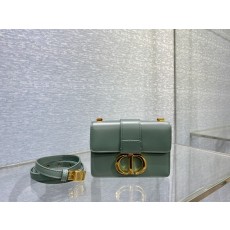 디올 30 Montaigne  Bag