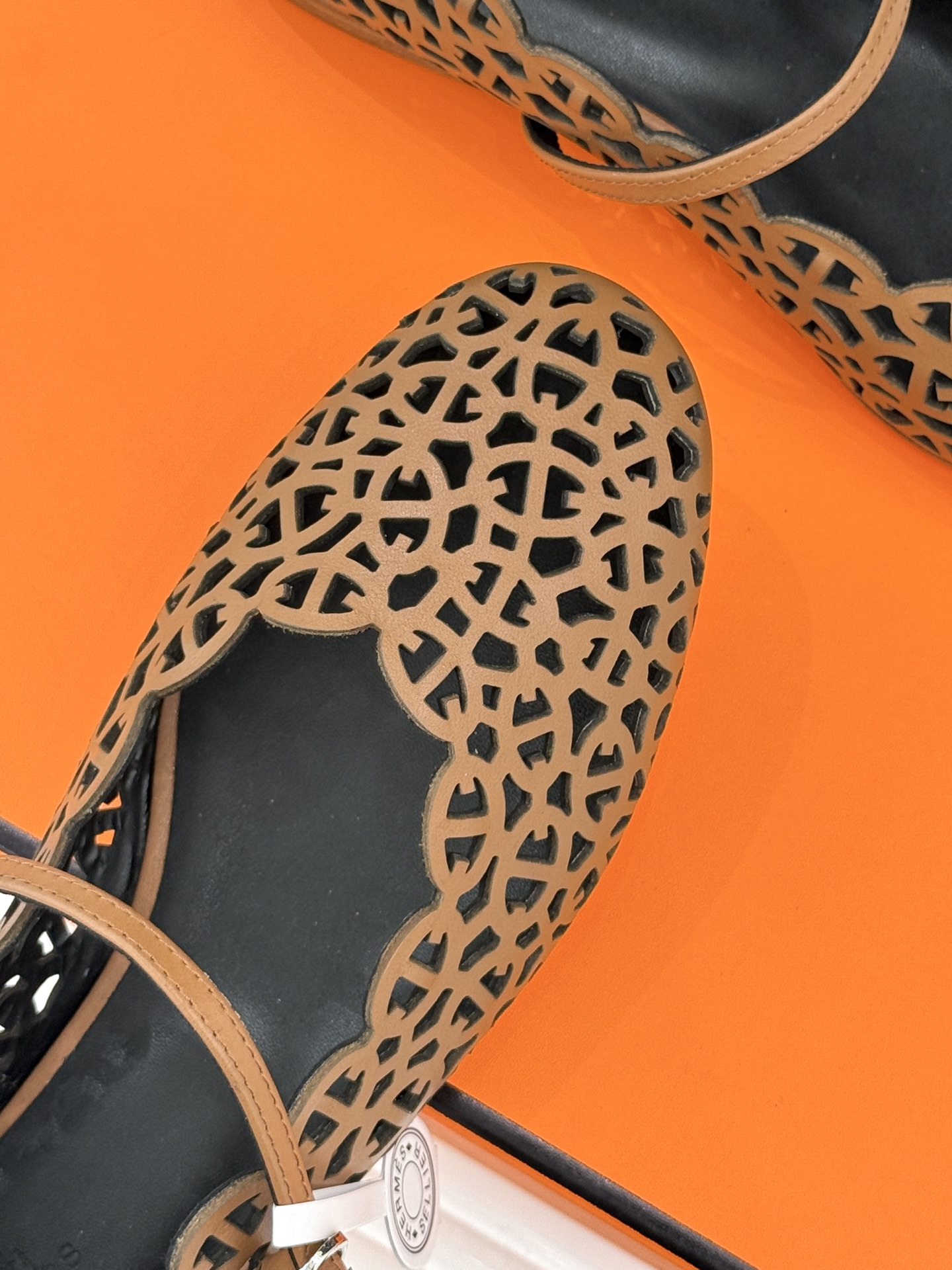 dc37b451ae2bce6c2a9e7dde5c6bb029_1769405053_7954.jpg dc37b451ae2bce6c2a9e7dde5c6bb029_1769405053_7954_1769405118.jpg