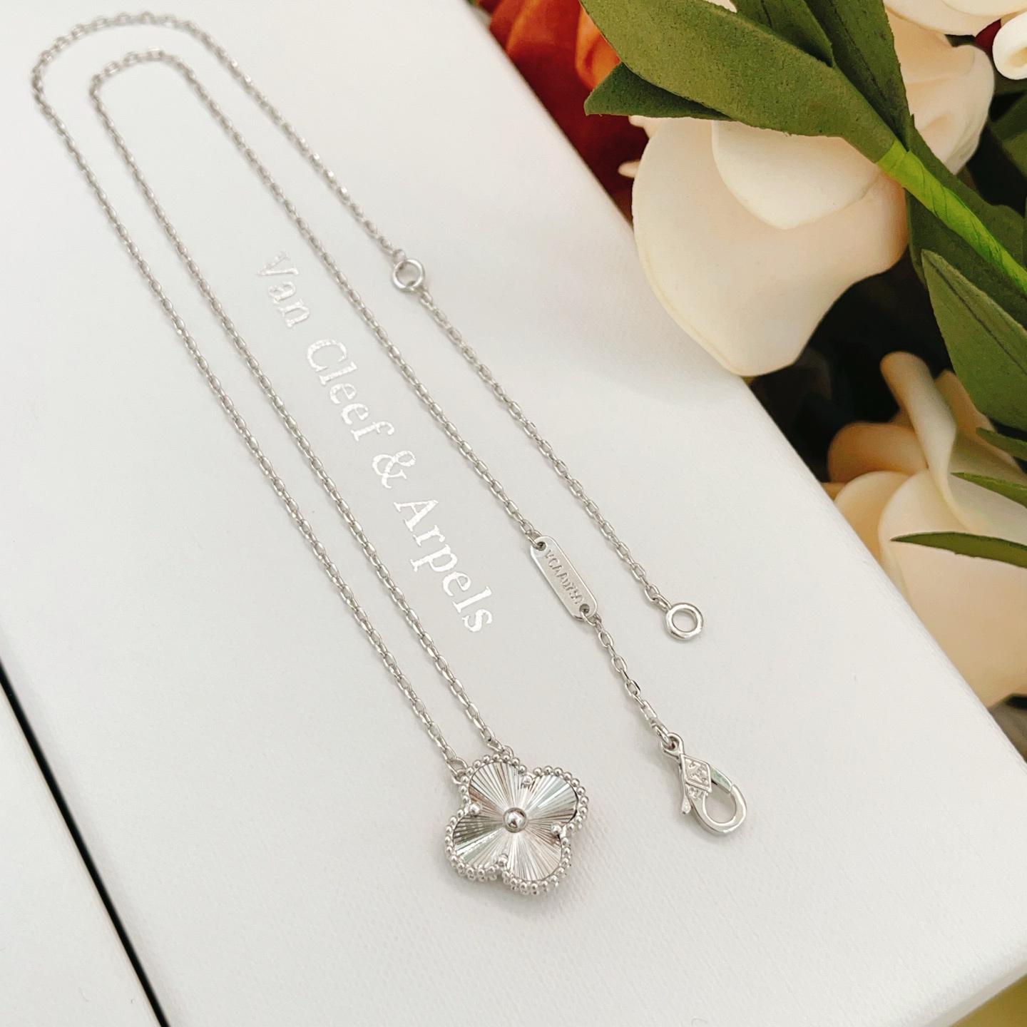 ef8431a47f1835db2fc1f2766f3e9a7f_1773361245_6656.jpg ef8431a47f1835db2fc1f2766f3e9a7f_1773361245_6656_1773361649.jpg