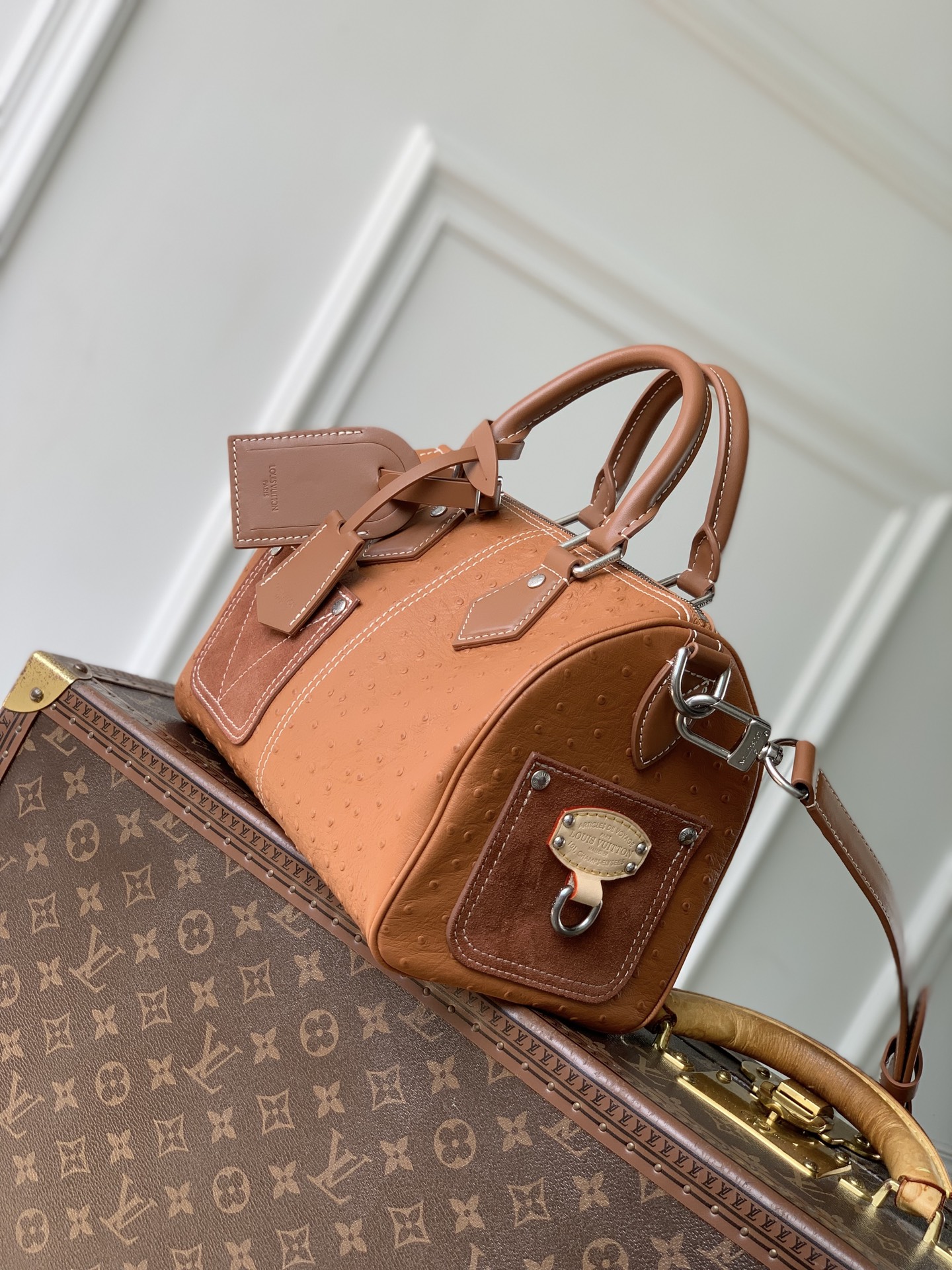 [LV] 루이비통 N89119 Speedy P9 Bandoulière 25 스피디 P9 반둘리에 25 가방