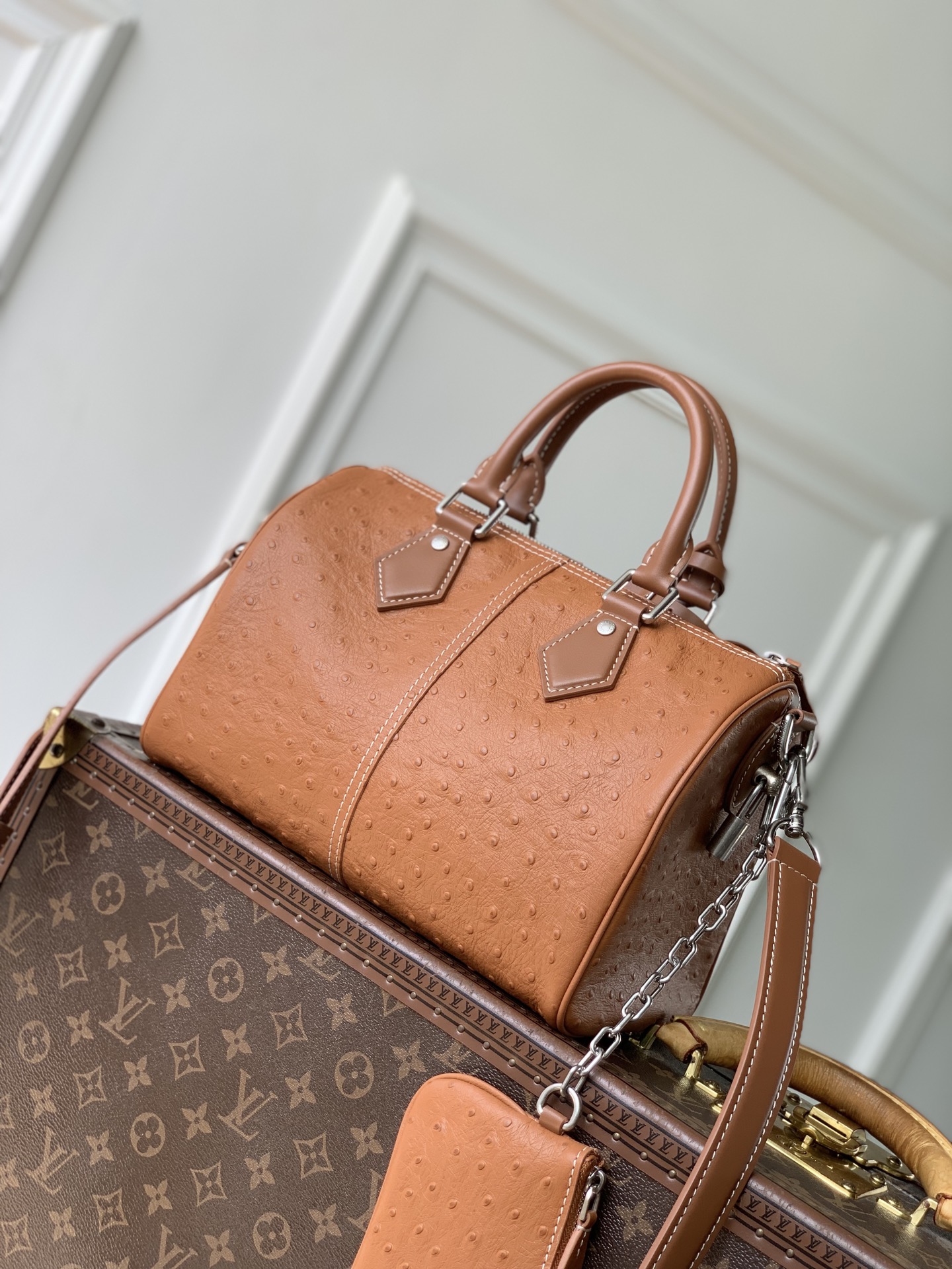 [LV] 루이비통 N89119 Speedy P9 Bandoulière 25 스피디 P9 반둘리에 25 가방