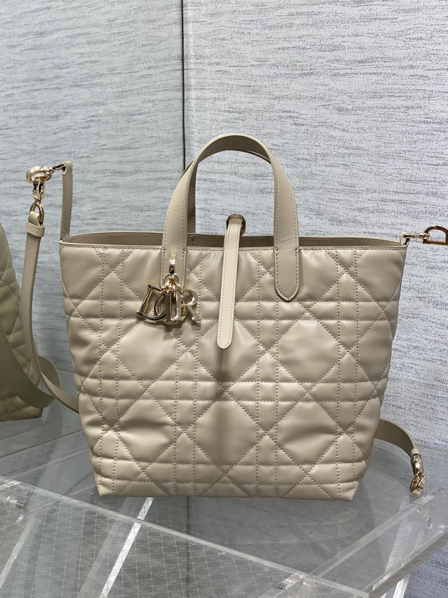 [Dior] 디올 Toujours 뚜주흐 버티컬 백 - 미디움 (아몬드 베이지) 가방