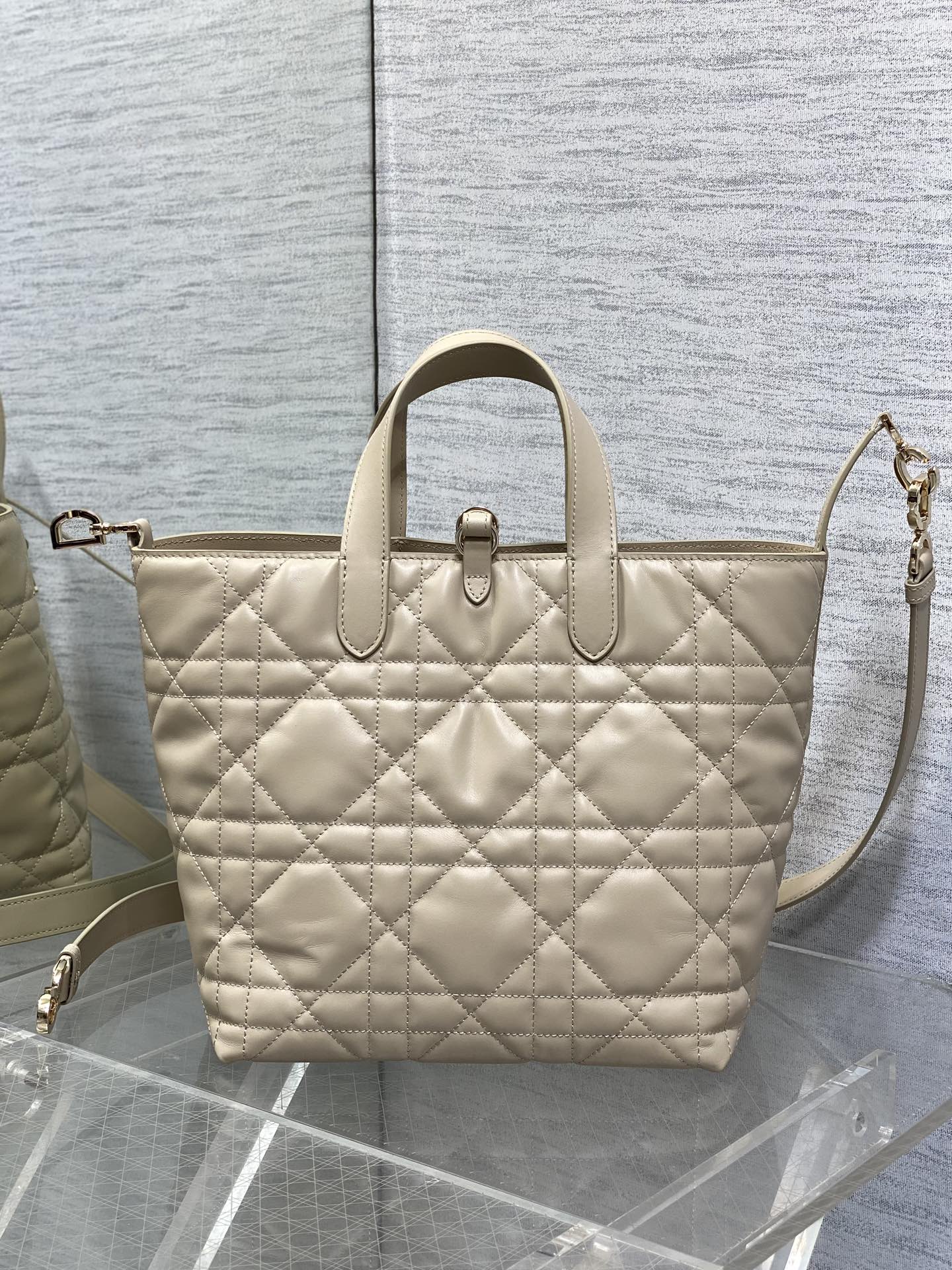 [Dior] 디올 Toujours 뚜주흐 버티컬 백 - 미디움 (아몬드 베이지) 가방