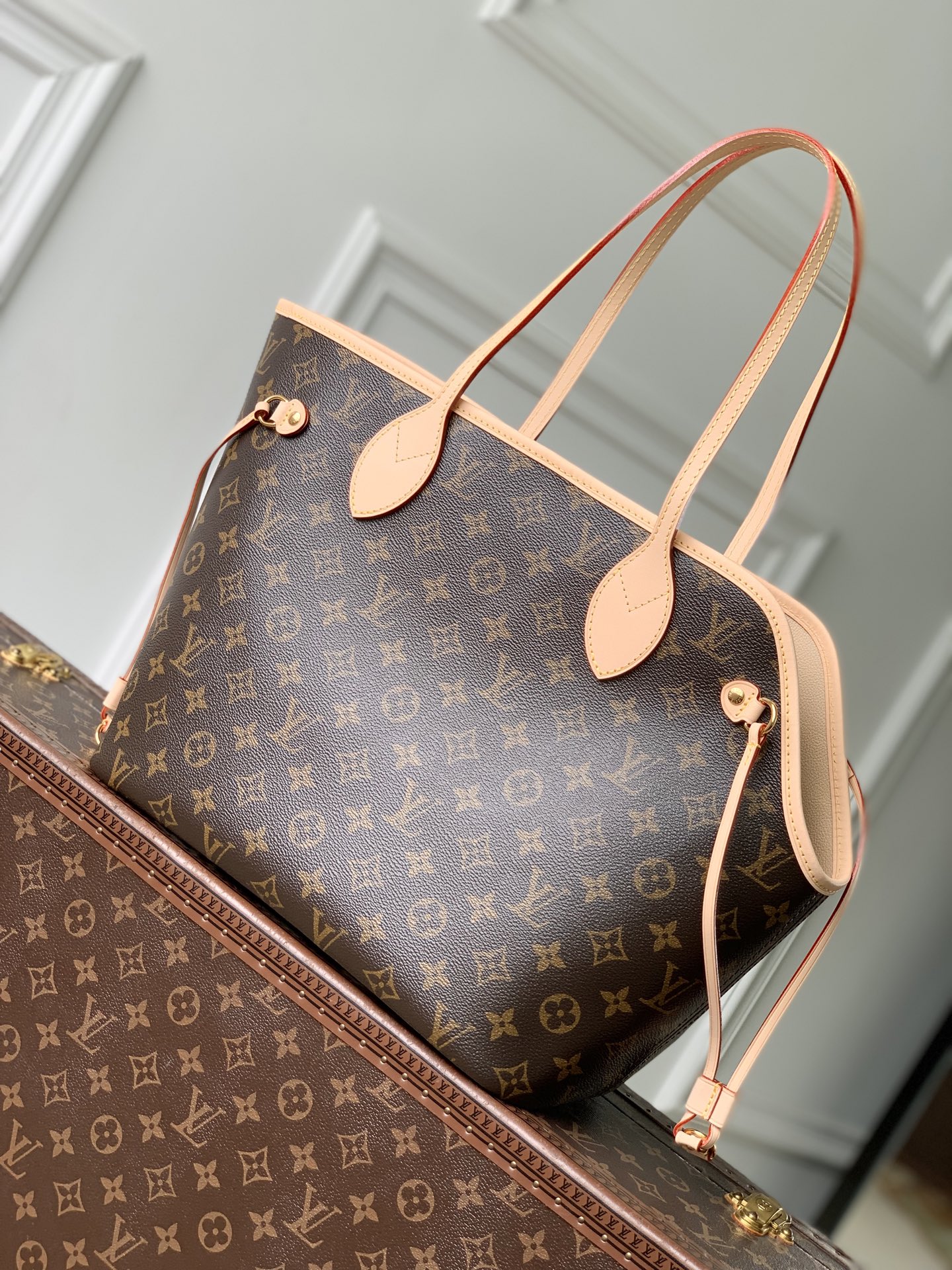 [Louis Vuitton] LV 루이비통 네버우프(Neverwoof) 중호 펫 캐리어 - 모노그램 가방