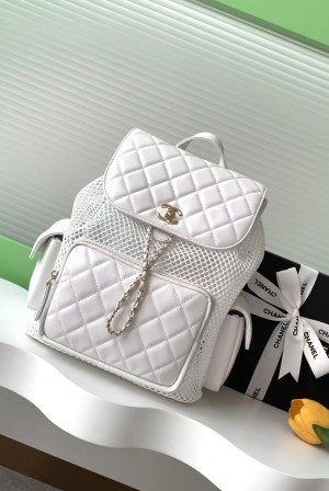Chanel 샤넬 25S 퀼팅 메쉬 백팩 (라지 사이즈 - AS5492) 가방