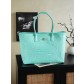 Chanel 샤넬 26SS 서프 토트(Cerf Tote) - 민트그린/악어 패턴 가방