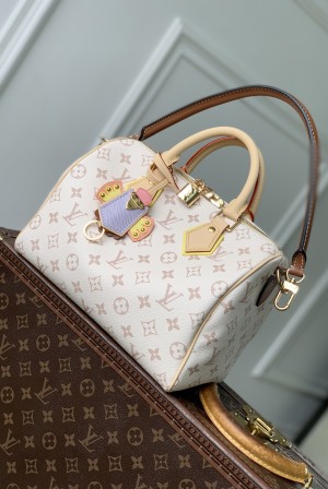 LOUIS VUITTON LV 루이비통 Speedy Bandoulière 20 크래프티 모노그램 듄 토트 겸 숄더백 (M2A038) 가방