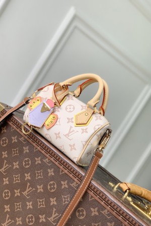 LOUIS VUITTON LV 루이비통 Nano Speedy 크래프티 모노그램 듄 토트 겸 크로스백 (M29781) 가방